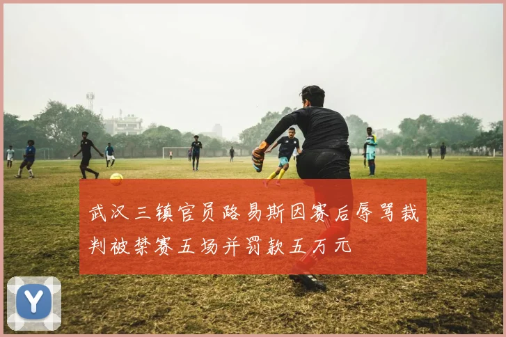 武汉三镇官员路易斯因赛后辱骂裁判被禁赛五场并罚款五万元